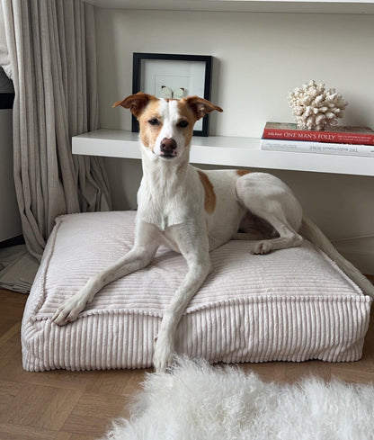 Cafide Cama De Material Reciclado Para Perro Con Tejido De Pana Blanco. Modelo Cuadra.