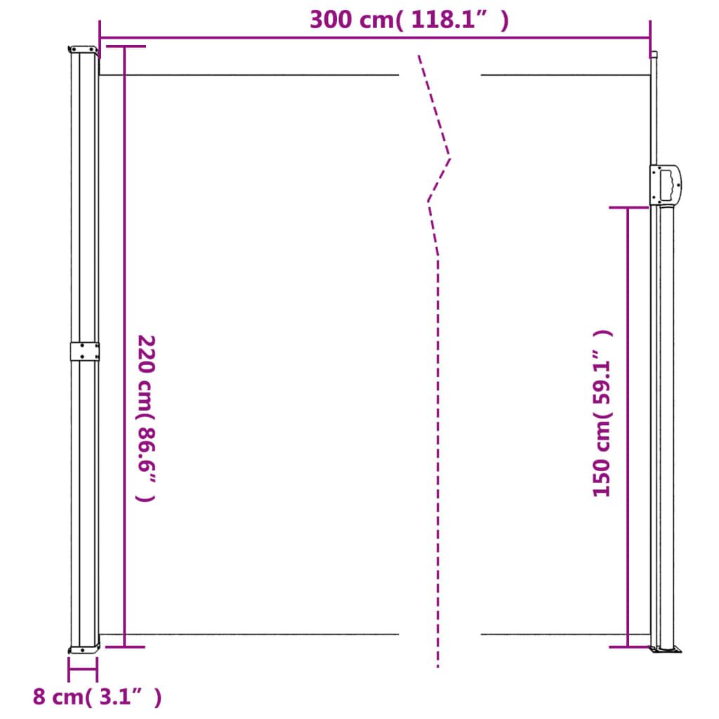 Vidaxl Toldo Lateral Retráctil Azul 220x300 Cm_2