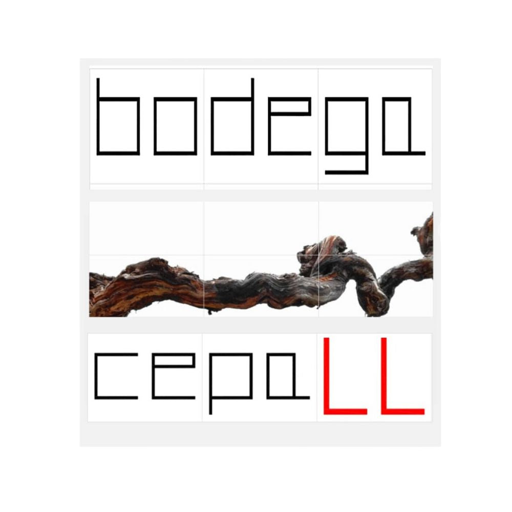 Vino Blanco Godello - Cepall Llodio - Selección Barrica 2020_3