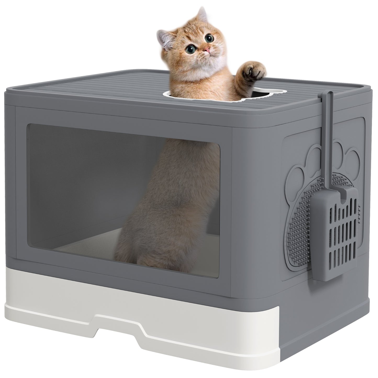 Pawhut Arenero Para Gatos Cubierto Con Caja Pala Cepillo 48,5x38x36,5cm Gris_0