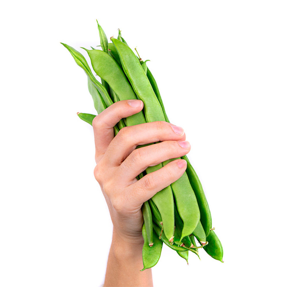 Judía Verde Helda 1.5kg Granada La Palma_3