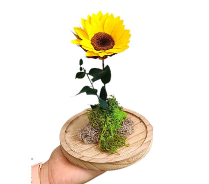 Mundo Eterno Girasol En Cúpula 12x20cm