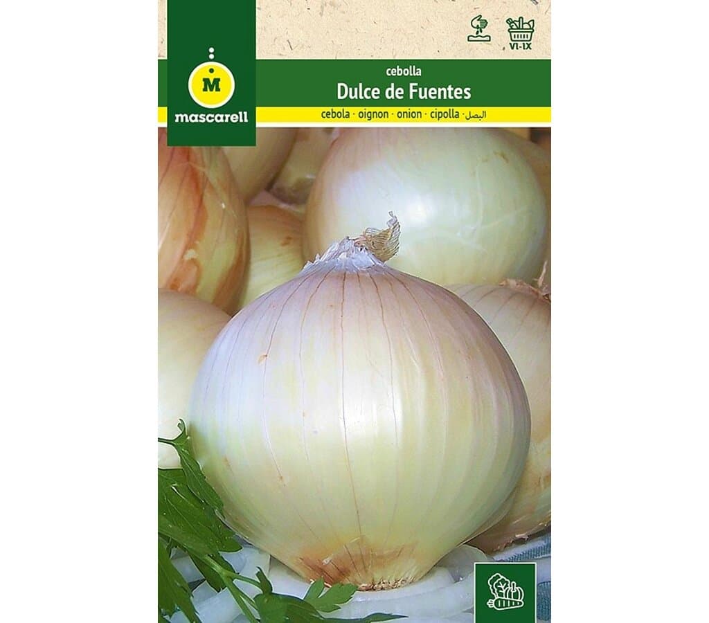 Semillas Cebolla Dulce De Fuentes