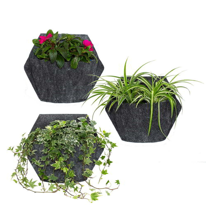 Jardín Vertical Modular Citysens Con Riego Manual De 3 Maceteros – Gris Claro Con Funda Téxtil Reciclada_0
