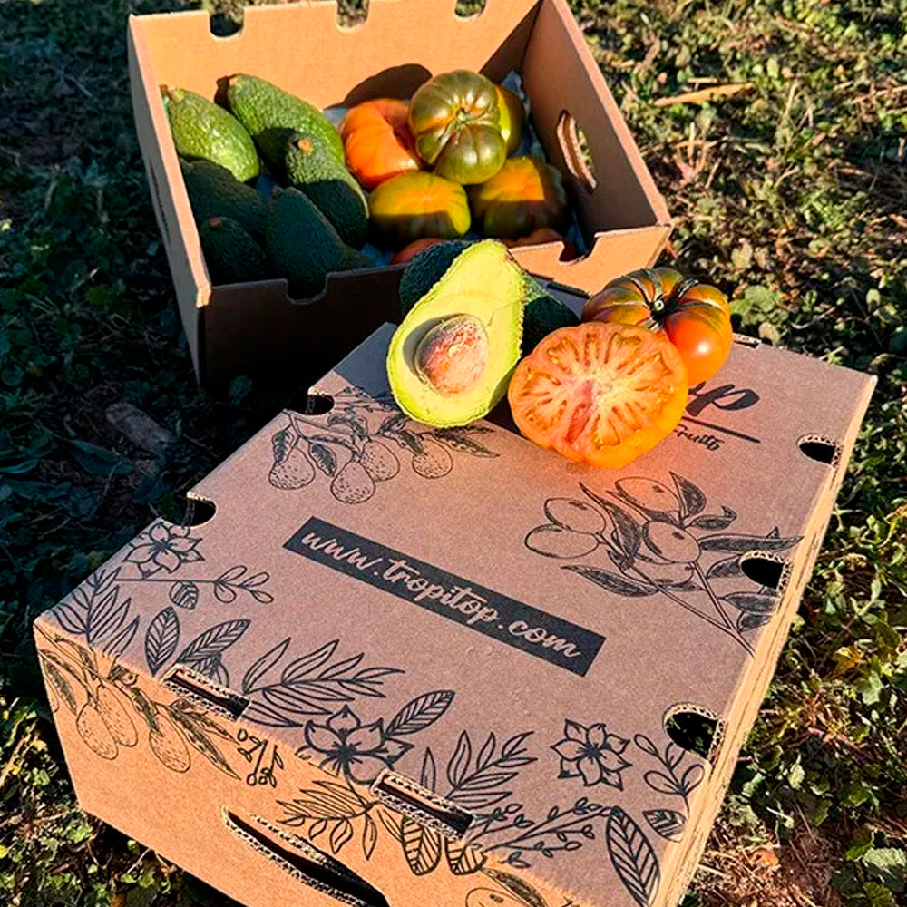 Caja 4kg Pack Aguacates Y tomates Raf Del Campo Tropitop_3