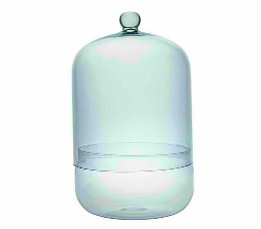 Terrario De Cristal 2 Piezas Tubo 13.4x33cm_0