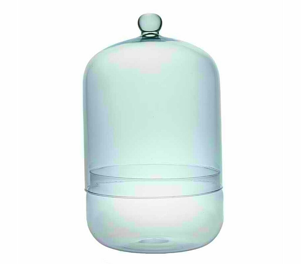 Terrario De Cristal 2 Piezas Tubo 13.4x33cm