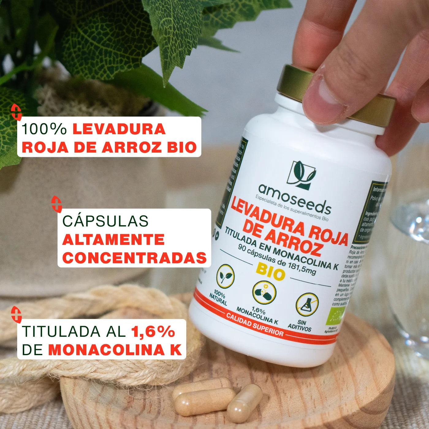 Levadura Roja De Arroz Bio | 90 Cápsulas_3