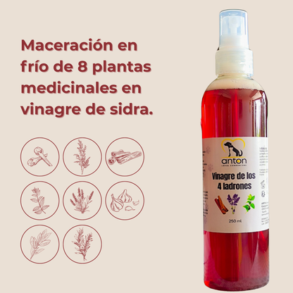Vinagre de los 4 Ladrones para Perros y Gatos – 250ml