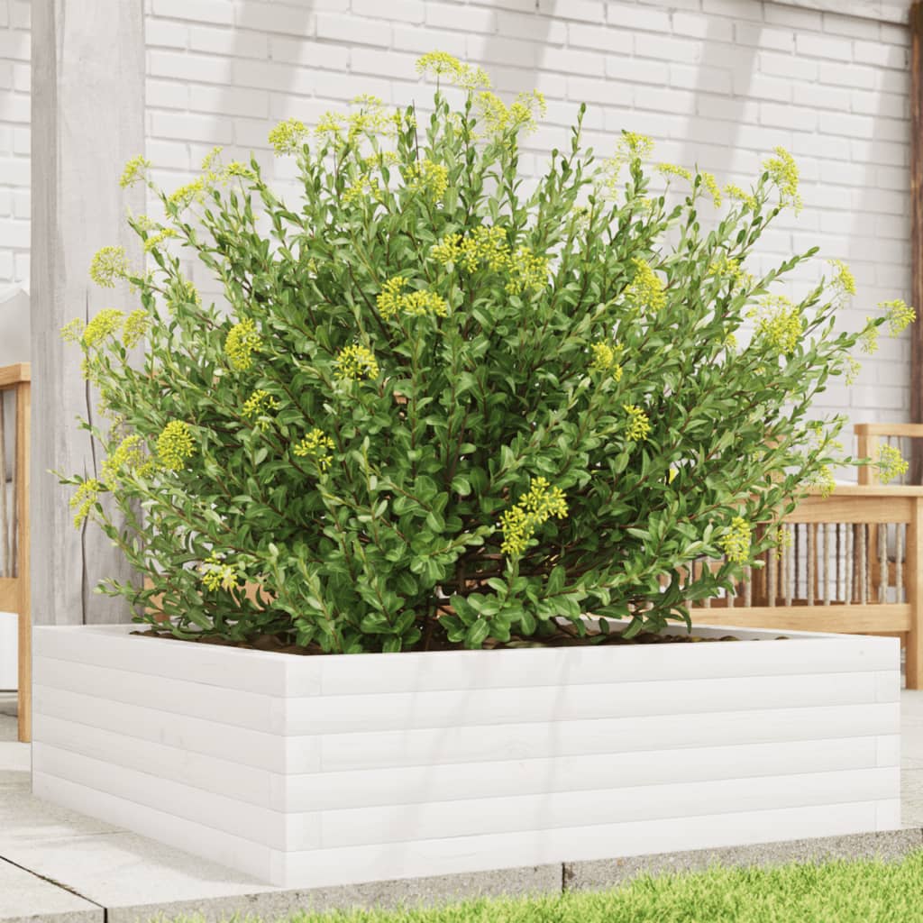 Jardinera De Madera Maciza De Pino Blanca 80x80x23 Cm_1