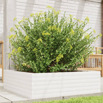 Jardinera De Madera Maciza De Pino Blanca 80x80x23 Cm_1