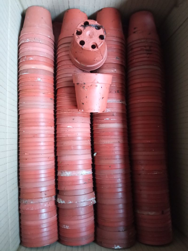 Lote 10 Macetas Usadas Para Cactus 5'5 Cms_0