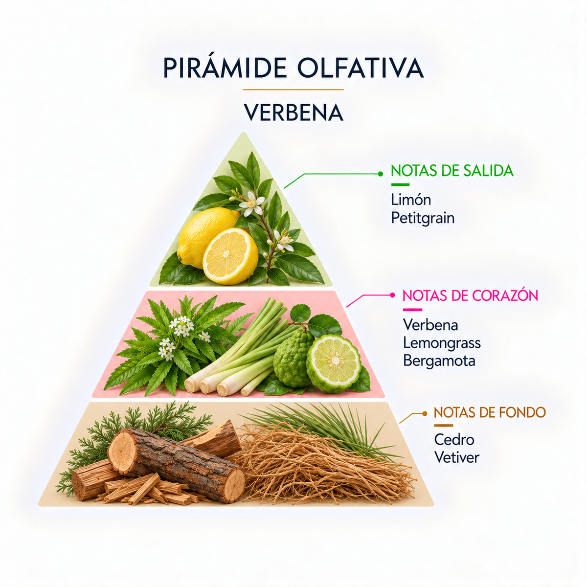 Esencia Natural Verbena SYS Aromas 12 ml | Aroma Fresco y Cítrico | Para Quemadores y Humidificadores_1