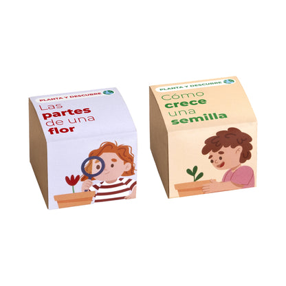 Pack 5 Kits De Cultivo Educativos | Stem Y Montessori | Regalo Didáctico Para Niños - Resetea_1