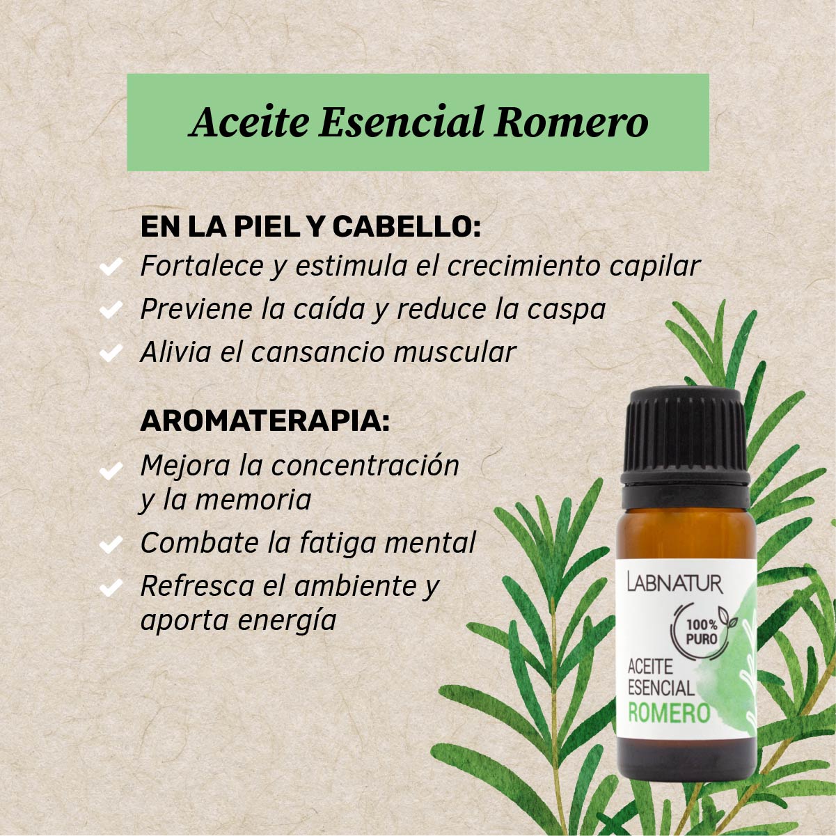 Aceite De Romero Puro 10 Ml | Estimulante Y Tonificante | Cuidado Capilar Y Corporal | Uso Diario_1
