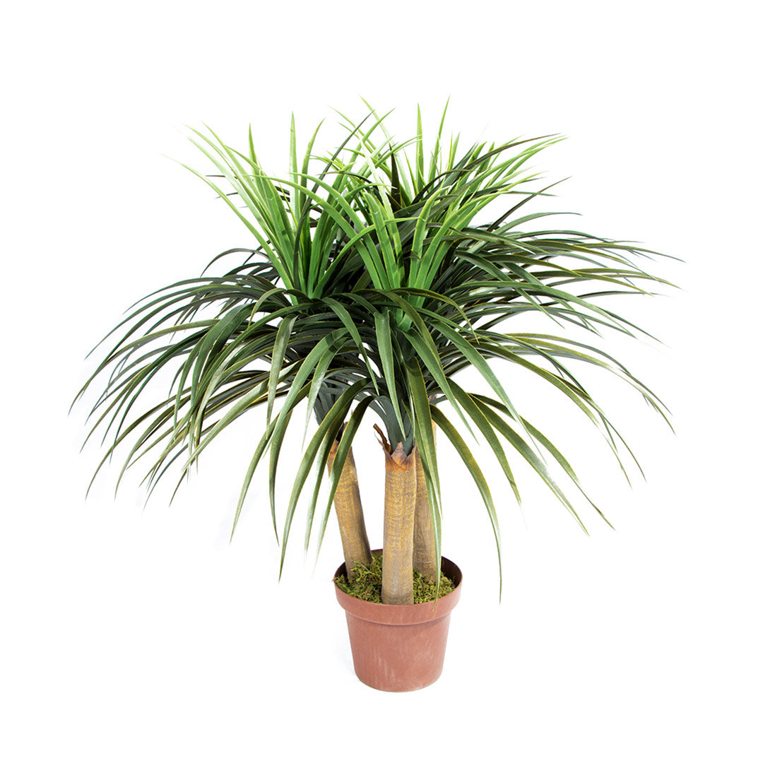 Planta Artificial Nolina Mini - Naturalidad Sin Mantenimiento 0.75 M / Multicolor_0