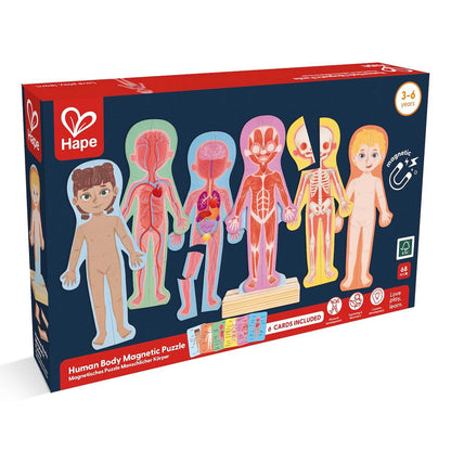 Puzzle Magnético Human Body Hape_5