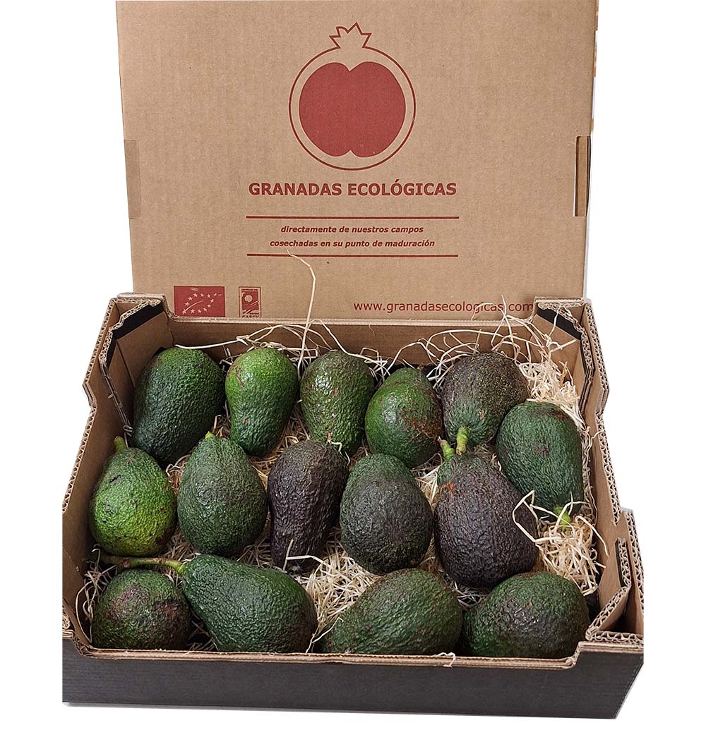 Aguacate ecológico Lamb-hass 3kg_0
