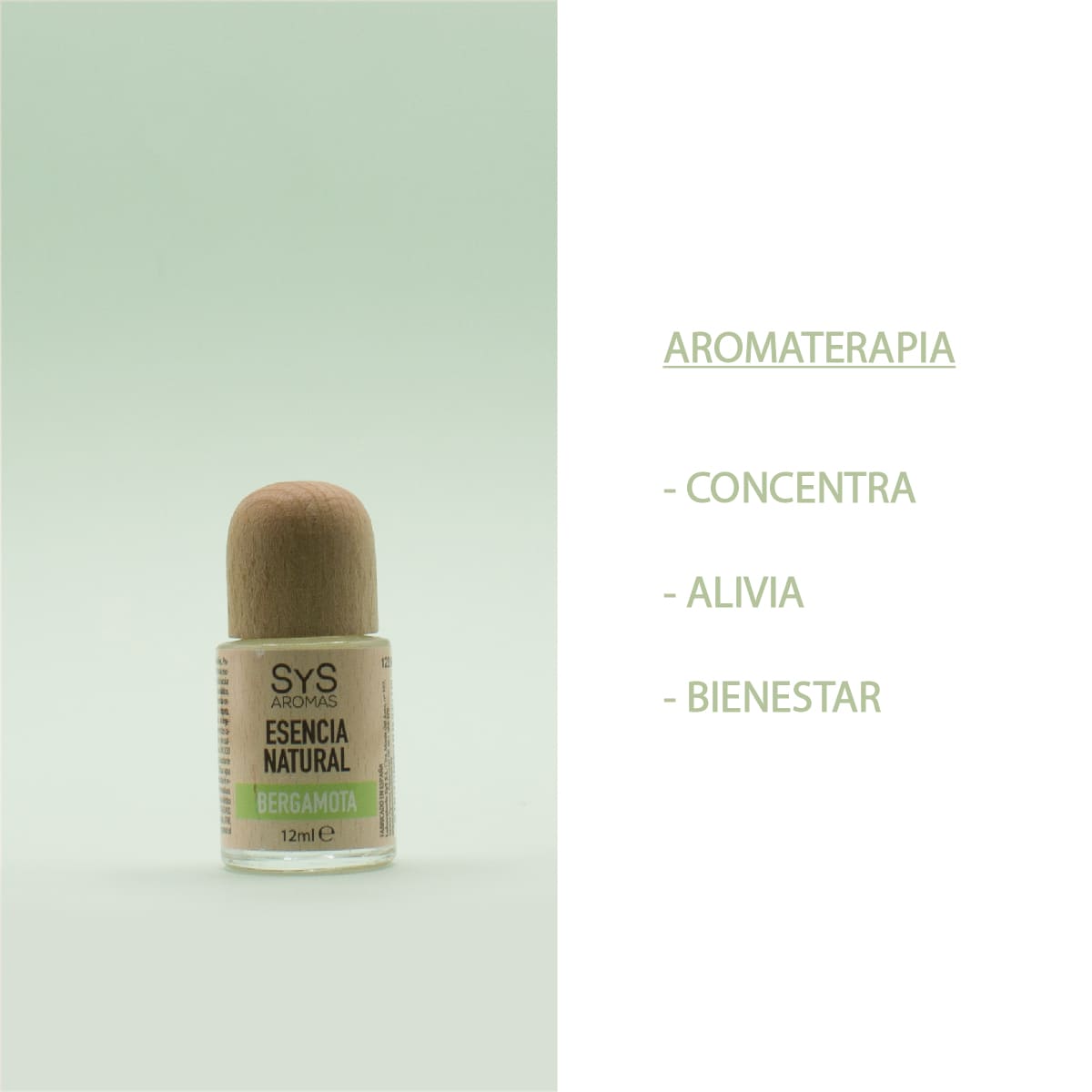 Esencia Aromática Bergamota 12 Ml | Aroma Cítrico Y Refrescante | Perfume Concentrado | Uso En Difusores_3
