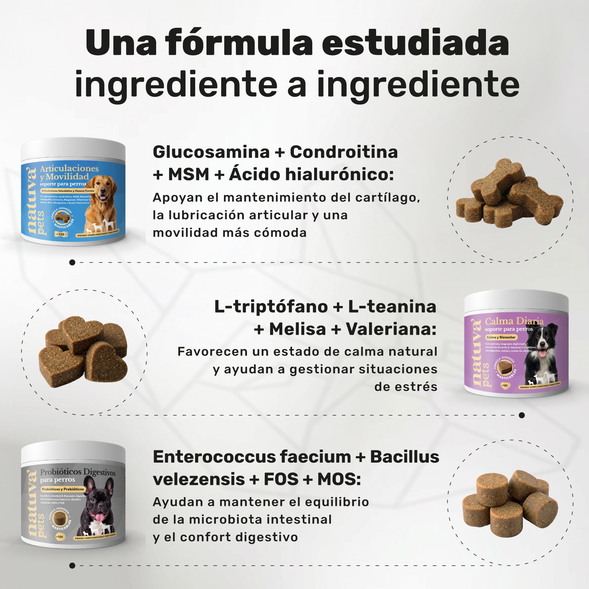 Pack Condroprotector + Calmante + Probiótico Para Perros. Suplementos Mascotas. 360 Masticables. Natuva Pets_2