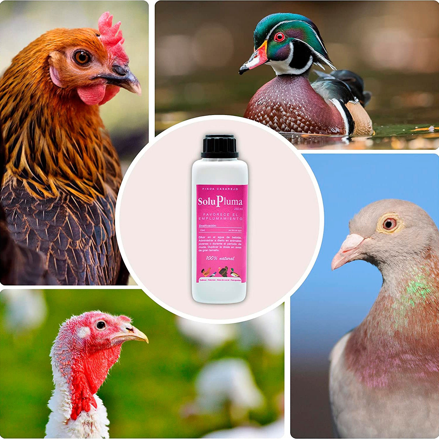 SoluPluma - Vitaminas Para La Muda De Las Plumas - Favorece El Emplumamiento De Gallinas, Palomas, Palmípedas - 250 Ml_3