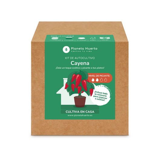Kit de autocultivo Cayena Planeta Huerto