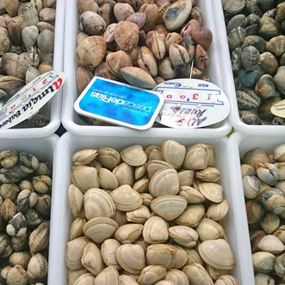 12 Bandejas Uso Alimentario Con Tapa: 2,2l Sin Bpa's (26,8 X 19,7 X 7 Cm) - Cocinas, Restaurantes, Pescaderías, Catering_2