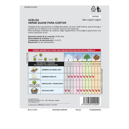 Semillas Huerto Acelga_1