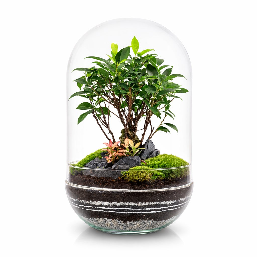 Terrario Sumatra Forest 25x38 Cm_0