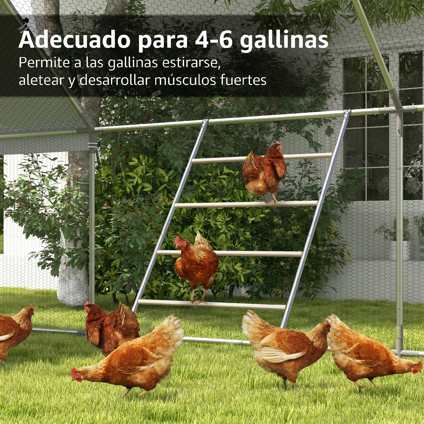 Pawhut Percha Para Gallinas De 4 Niveles Para 4-6 Gallinas 140x86 Cm Natural_5