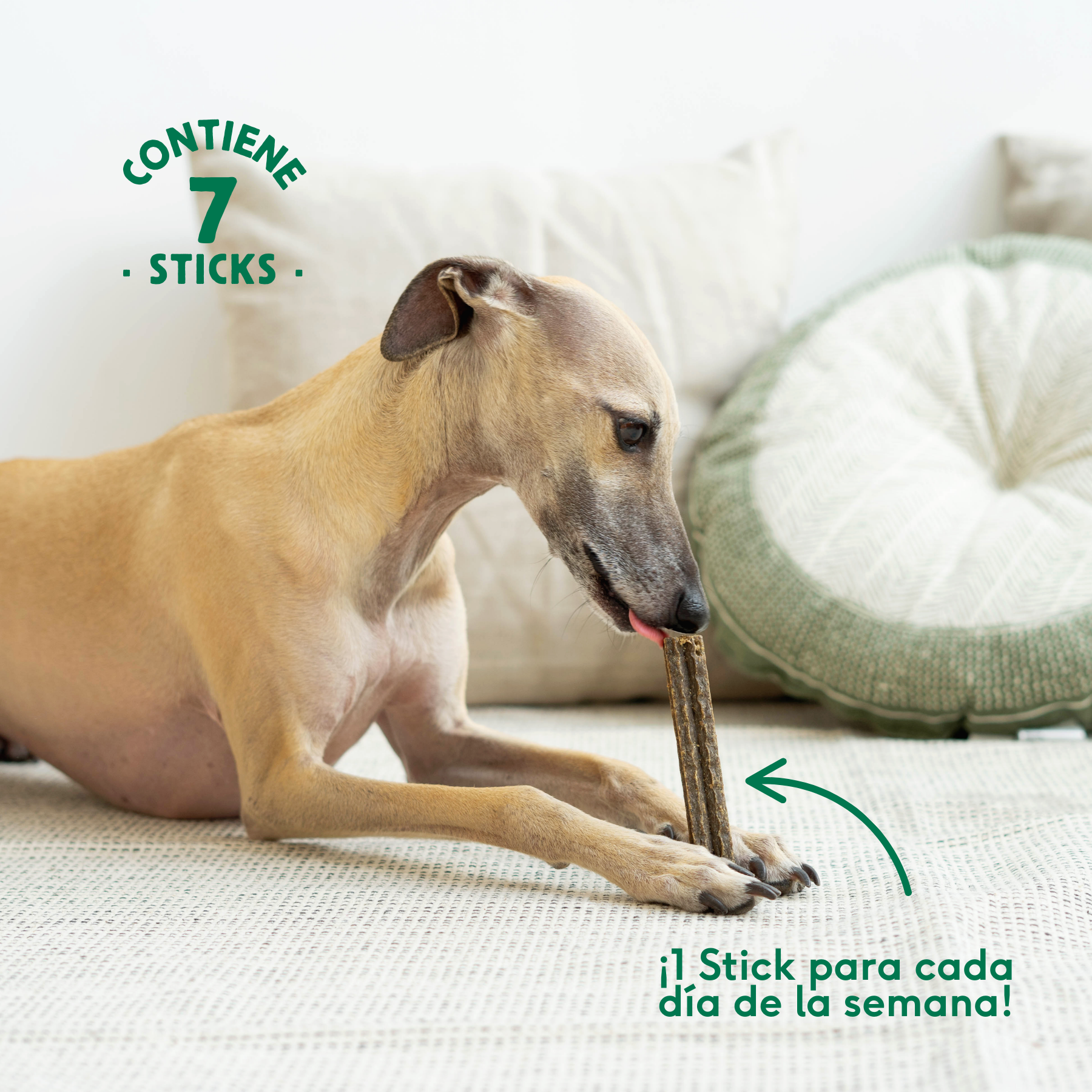 Stick Dental Calming Antiestrés Wild Balance 7 uds.