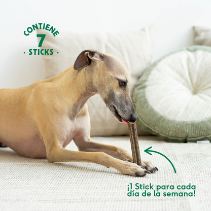 Stick Dental Calming Antiestrés Wild Balance 7 uds.
