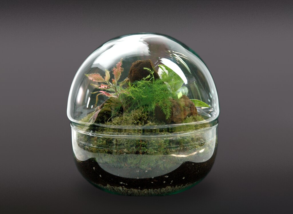 Nanogarden Terrario Ball Mix 4p 20x20cm