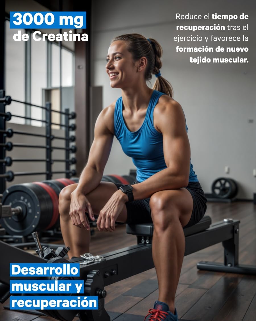 Creatina Monohidratada 3000mg Formato Sticks Nutribrain 30 Sticks_1