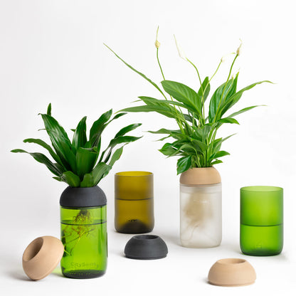 Macetero Transparente Citysens Con Soporte De Ébano – Verde, Vidrio Reutilizado Y Biofilamento Con Madera Impreso En 3d