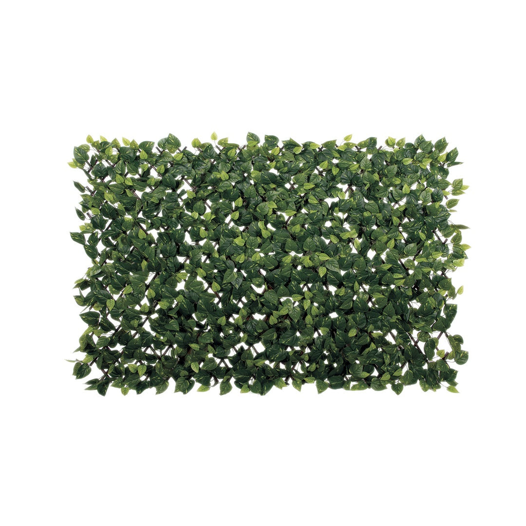 Celosía Extensible Extensy Green 0.9x1.8 M Nortene_1