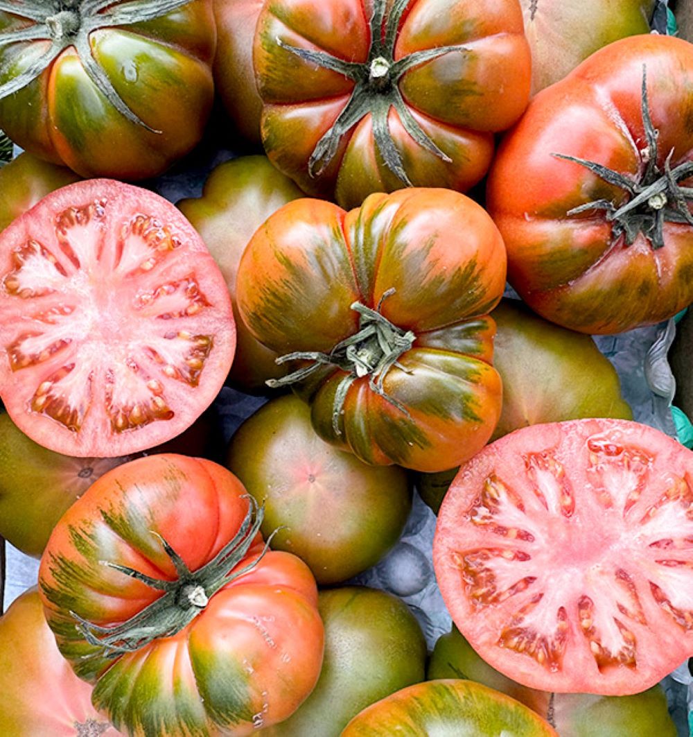 Caja De Tomates Raf De Temporada Tropitop Caja De 9kg_3
