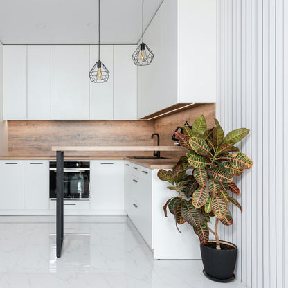 Croton - Codiaeum Variegatum 'mrs. Iceton' - Altura 140-150cm - ⌀31cm