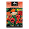 Semillas de Amapola oriental pizzicato Batlle