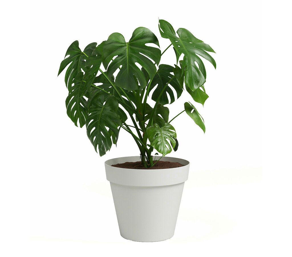 Artevasi Macetero De Plástico Capri Blanco 25cm_1