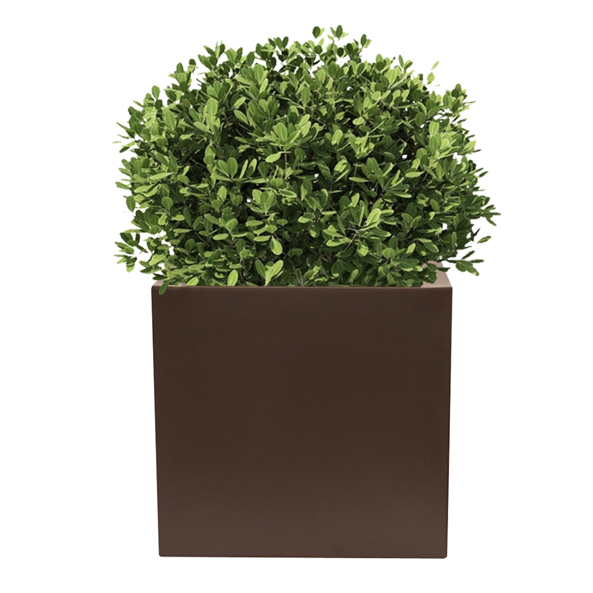 Macetero De Polietileno Bronce 50x50 Cm_2
