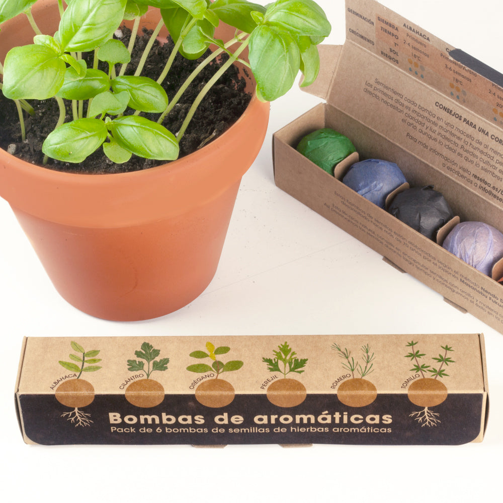 Pack 6 Bombas de Semillas de Hierbas Aromáticas – Huerto Casero de Cocina, Regalo Original - Resetea_1