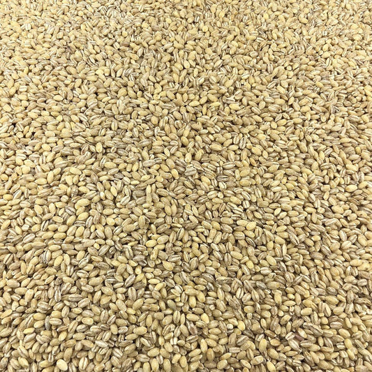 Semillas De Hinojo Ecológico Granel 0,5 Kg_0