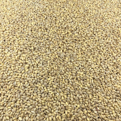 Cebada Ecológica Granel 1 Kg_2