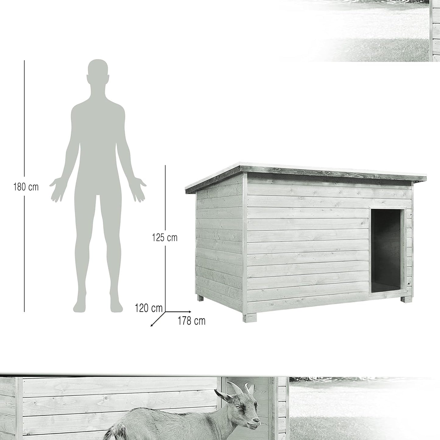 Gallinero Para Pavos Y Otras Grandes Aves - Caseta Para Animales - Refugio Para Cabras Y Ovejas_2