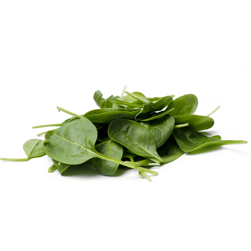 Plantón Espinaca 10 Unidades - PlantaBo_1