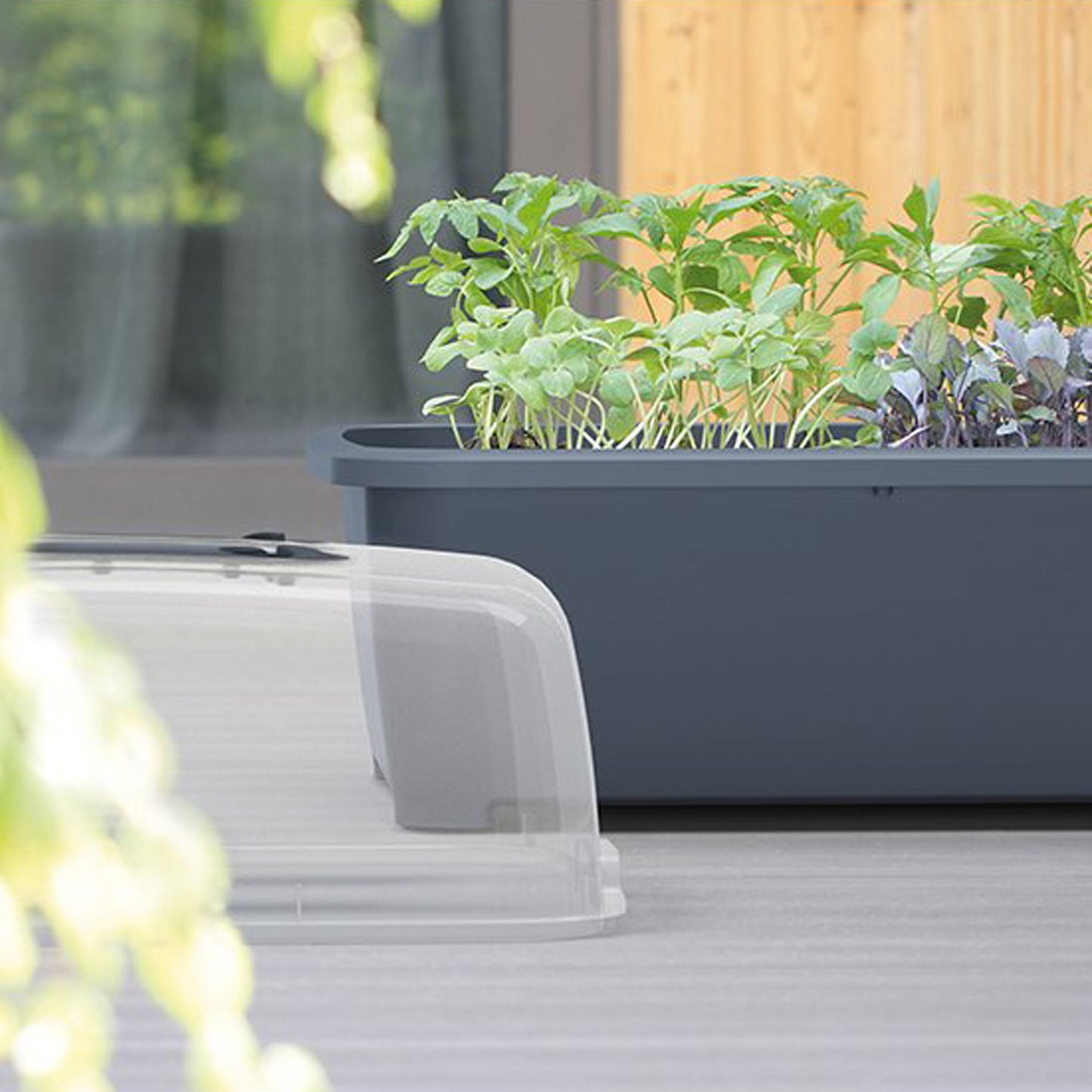 Huerto Doméstico/Jardinera Baja con Tapa de Policarbonato para Proteger tus Plantas - Prosperplast Respana Planter Wood Low de Plástico