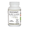 Auricularia 90 Capsulas Bio Micotherapy Avd Reform