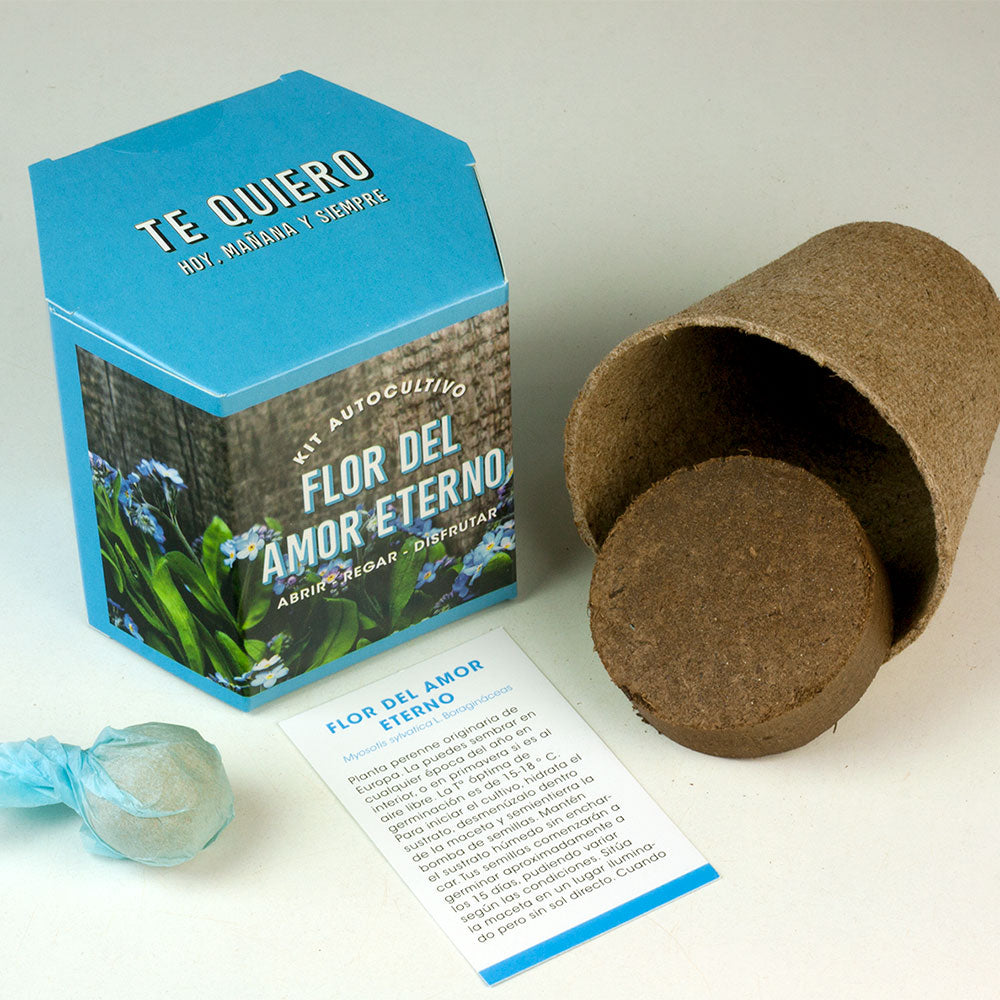 Kit De Cultivo Flor Del Amor Eterno | Cultiva Un Símbolo De Amor Verdadero En Casa_1