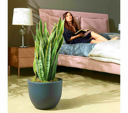 Veca Macetero Plástico Blanco Eggy 55x43 Cm